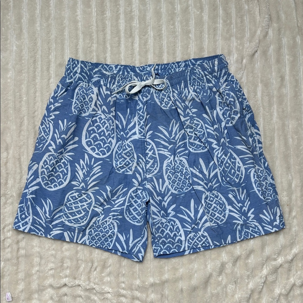 Blue Pineapple Print Men's Bathing Suit
